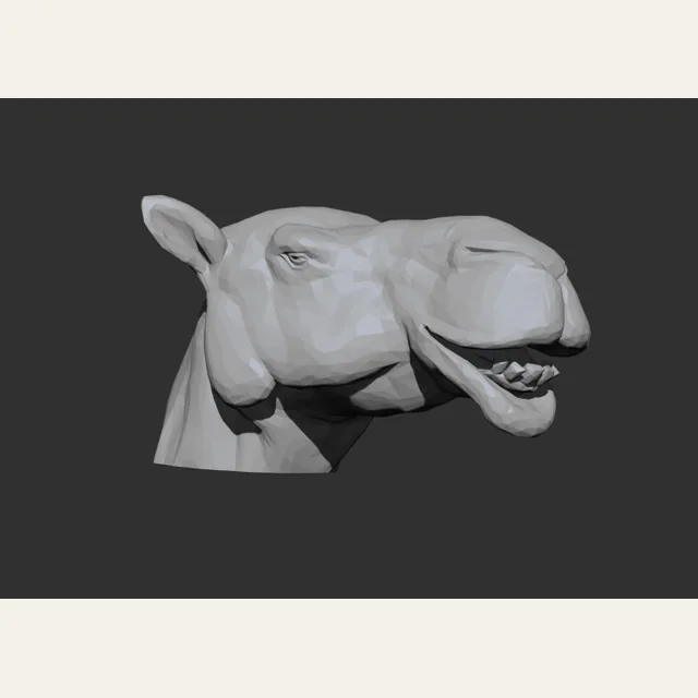 Dromedary Camel Head - Low Poly