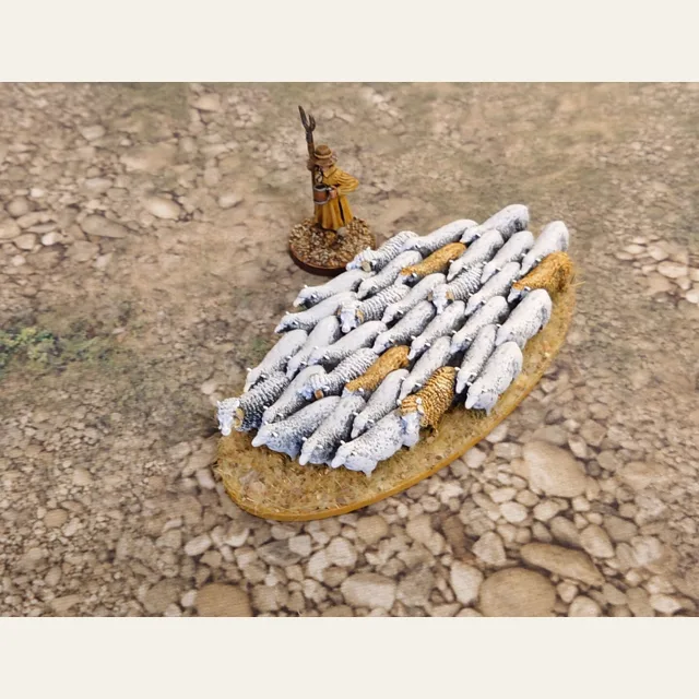 Flock of sheep