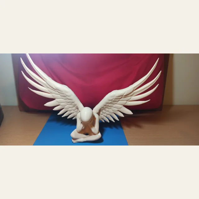 Angel Boy