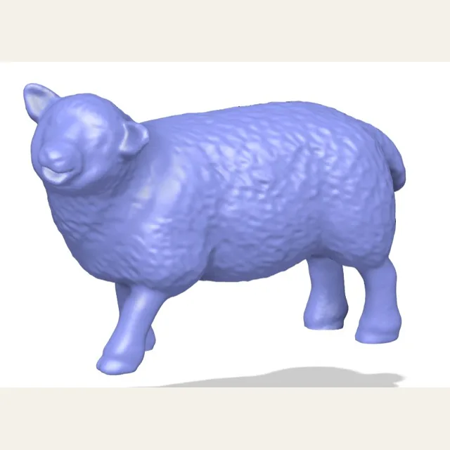 Sheep or Lamb, Happy