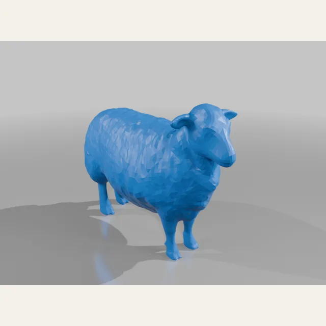 Herdwick sheep