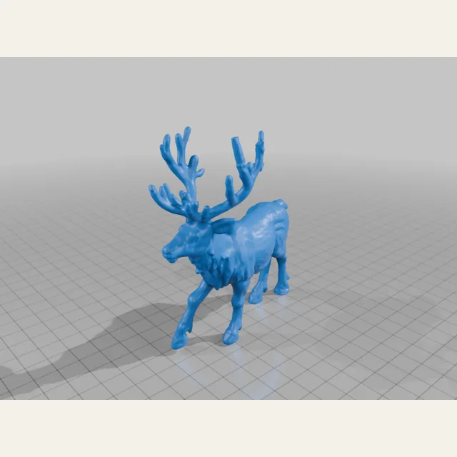 Reindeer 1