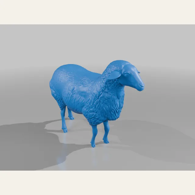 Fluffy Sheep